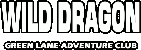 Tall logo - Wild Dragon